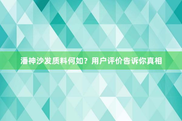 潘神沙发质料何如？用户评价告诉你真相